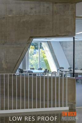 August 2019 / PEMBROKE_190817_0992