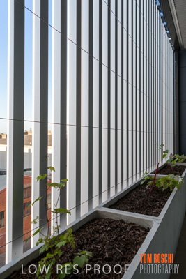 October 2019 / St_MARYS-3474