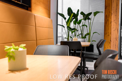 October 2019 / SARAH_GO_191017_298