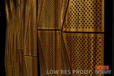 November 2019 / XAVIER-014