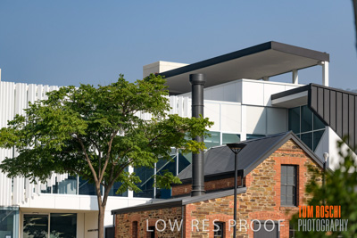 January 2020 / St_PETERS_200107_027