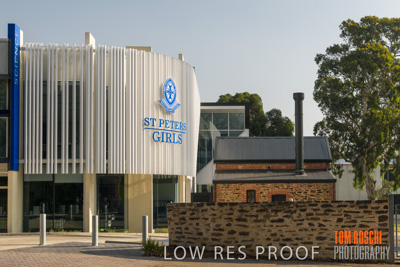 January 2020 / St_PETERS_200107_047