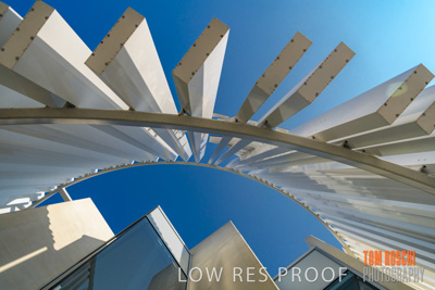 January 2020 / St_PETERS_200107_052