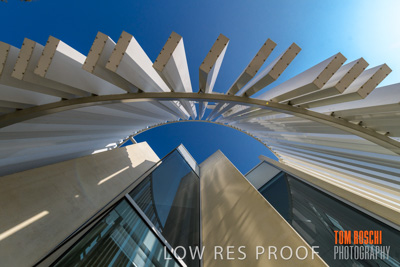 January 2020 / St_PETERS_200107_053