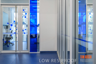 January 2020 / St_PETERS_200107_113