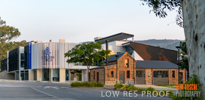 January 2020 / St_PETERS_200107_146