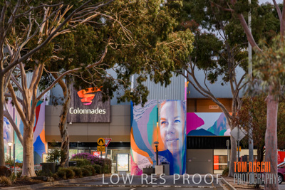 March 2020 / COLONADES_200305_006