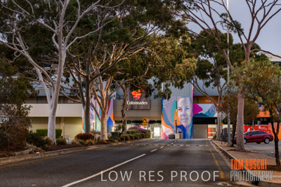 March 2020 / COLONADES_200305_007