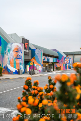 March 2020 / COLONADES_200305_033