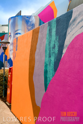 March 2020 / COLONADES_200305_046