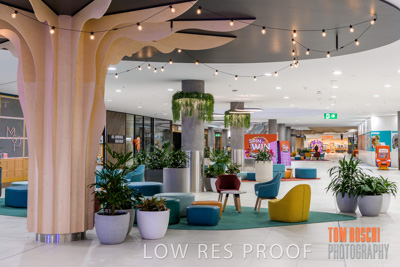 March 2020 / COLONADES_200305_071