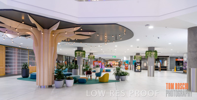 March 2020 / COLONADES_200305_072