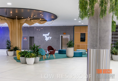 March 2020 / COLONADES_200305_079