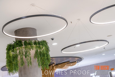 March 2020 / COLONADES_200305_084