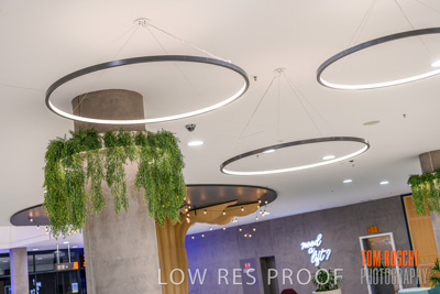 March 2020 / COLONADES_200305_085