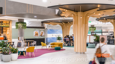 March 2020 / COLONADES_200305_138