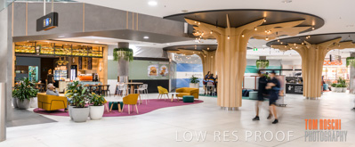 March 2020 / COLONADES_200305_139