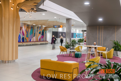 March 2020 / COLONADES_200305_157