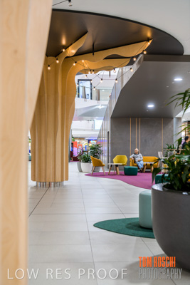 March 2020 / COLONADES_200305_177