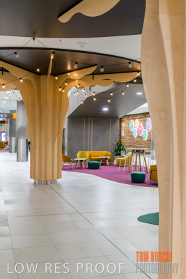 March 2020 / COLONADES_200305_182