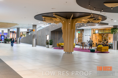 March 2020 / COLONADES_200305_188