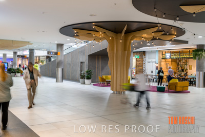 March 2020 / COLONADES_200305_189