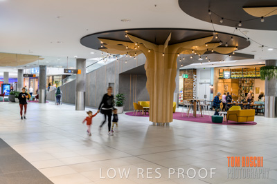 March 2020 / COLONADES_200305_195