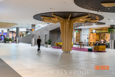 March 2020 / COLONADES_200305_196