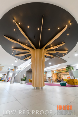 March 2020 / COLONADES_200305_202