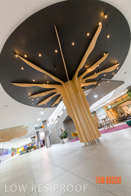 March 2020 / COLONADES_200305_204