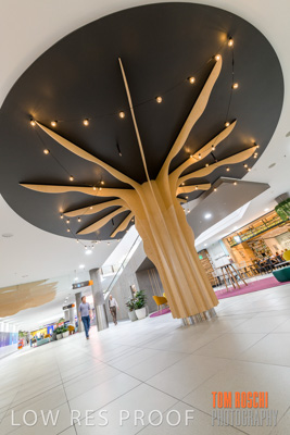 March 2020 / COLONADES_200305_208