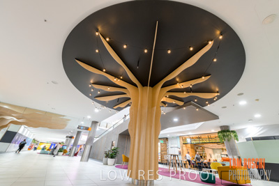 March 2020 / COLONADES_200305_211