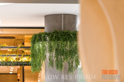 March 2020 / COLONADES_200305_237