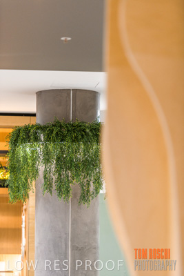 March 2020 / COLONADES_200305_238