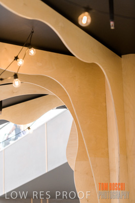 March 2020 / COLONADES_200305_245