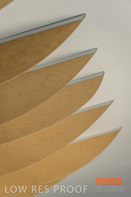 March 2020 / COLONADES_200305_263