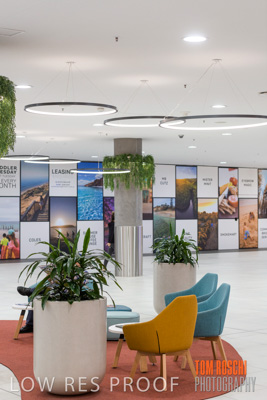 March 2020 / COLONADES_200305_264