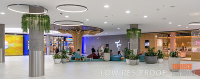 March 2020 / COLONADES_200305_267