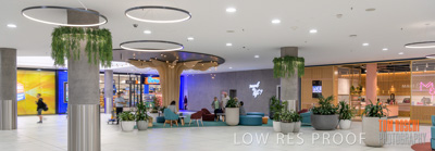 March 2020 / COLONADES_200305_268