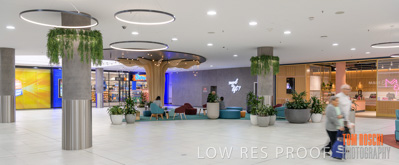 March 2020 / COLONADES_200305_270