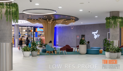 March 2020 / COLONADES_200305_271