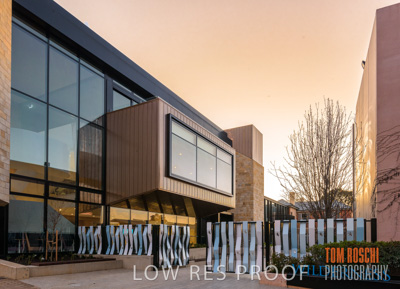 July 2020 / WILDERNESS_010