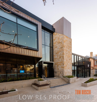 July 2020 / WILDERNESS_028