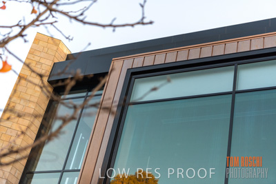 July 2020 / WILDERNESS_029