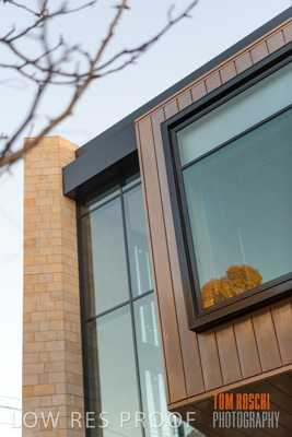 July 2020 / WILDERNESS_030