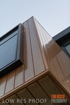 July 2020 / WILDERNESS_032