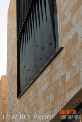 July 2020 / WILDERNESS_035