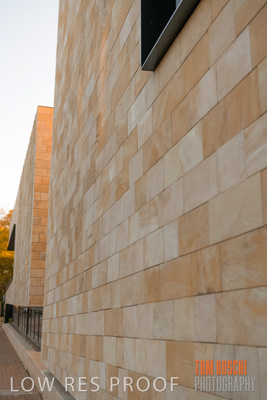 July 2020 / WILDERNESS_037