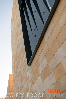 July 2020 / WILDERNESS_038