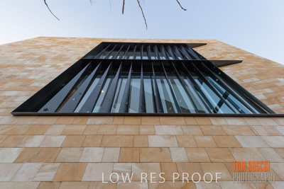 July 2020 / WILDERNESS_039